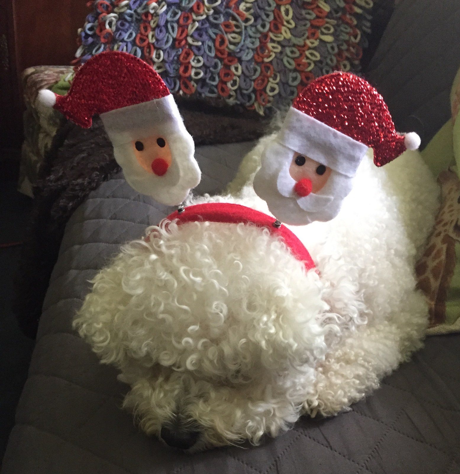 Seriously ... She Found Christmas