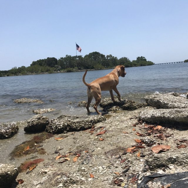 Leia Enjoying 4th Of July!