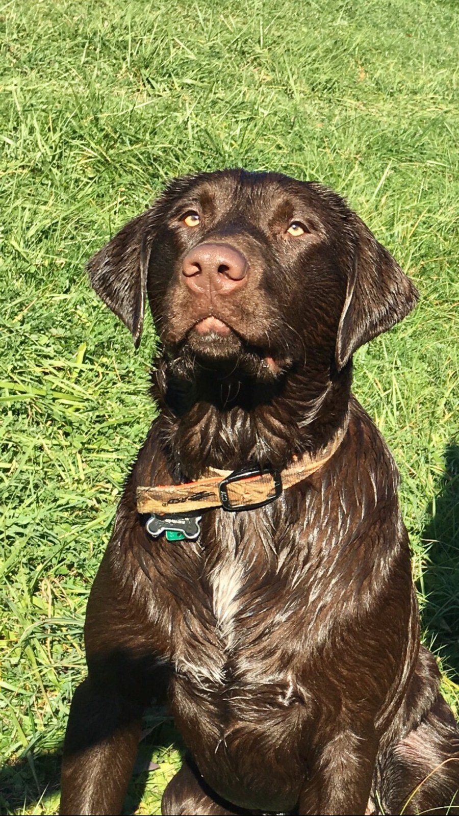 "Finley Oliver"