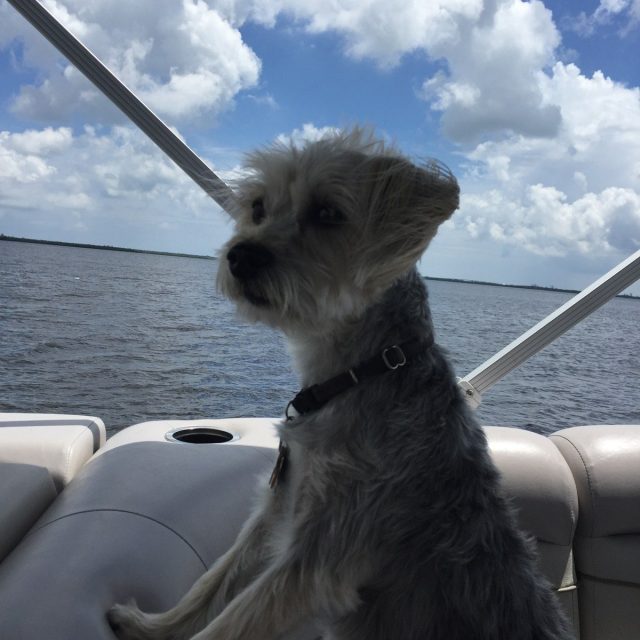 Derby Being A Salty Dog!