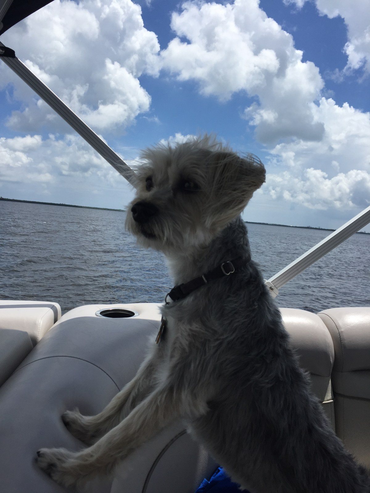 Derby Being A Salty Dog!
