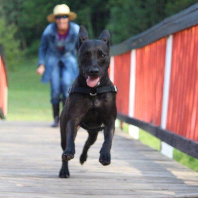 Run Baby Run!