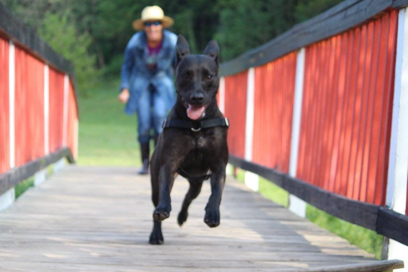 Run Baby Run!