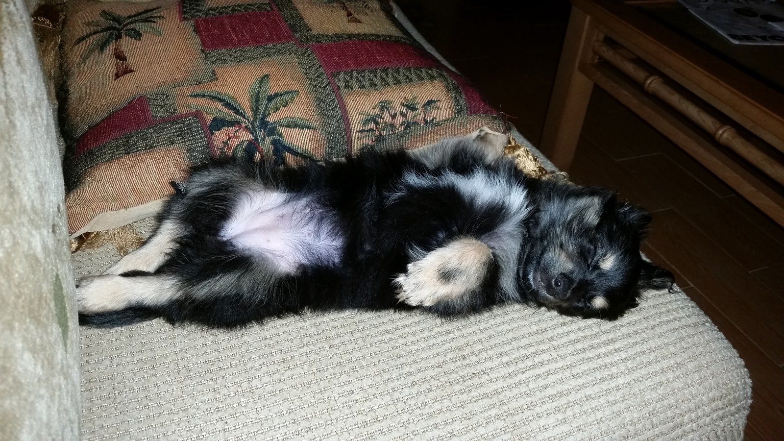 Zzzzzzzzzz