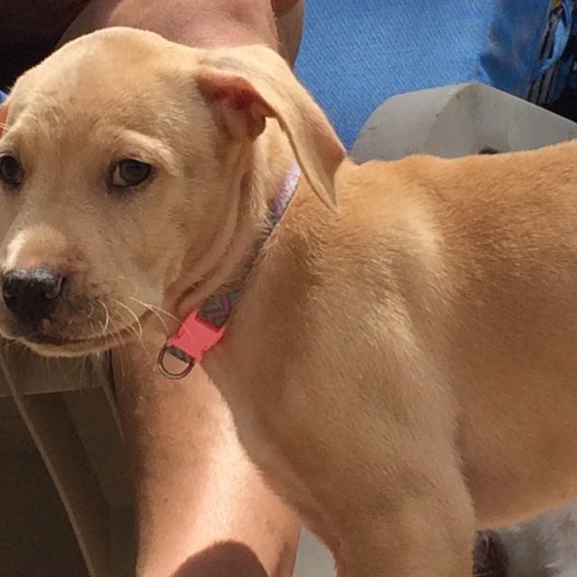 Nala!