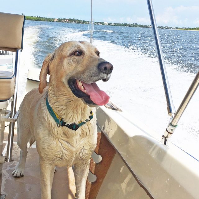 River Ridin