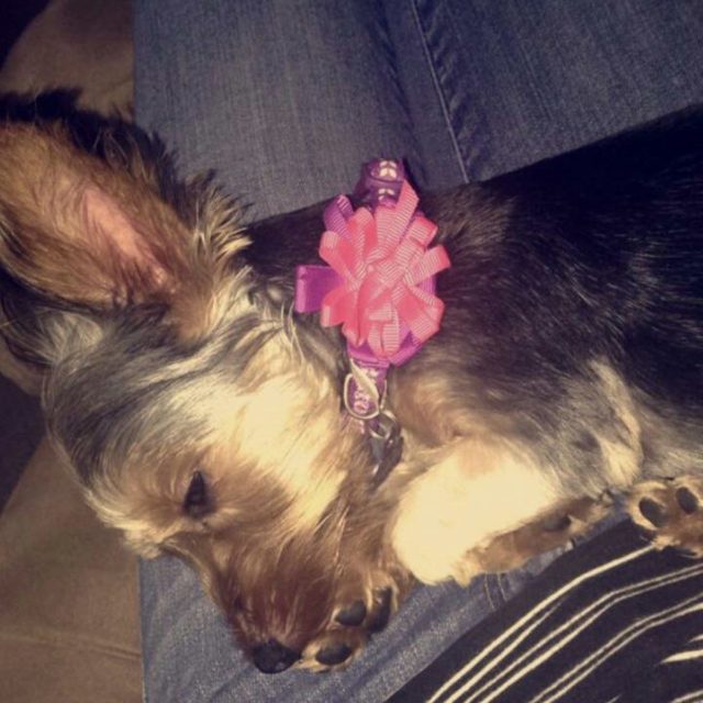 Our Sweet Bailey