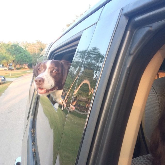 Jake, Living Free!