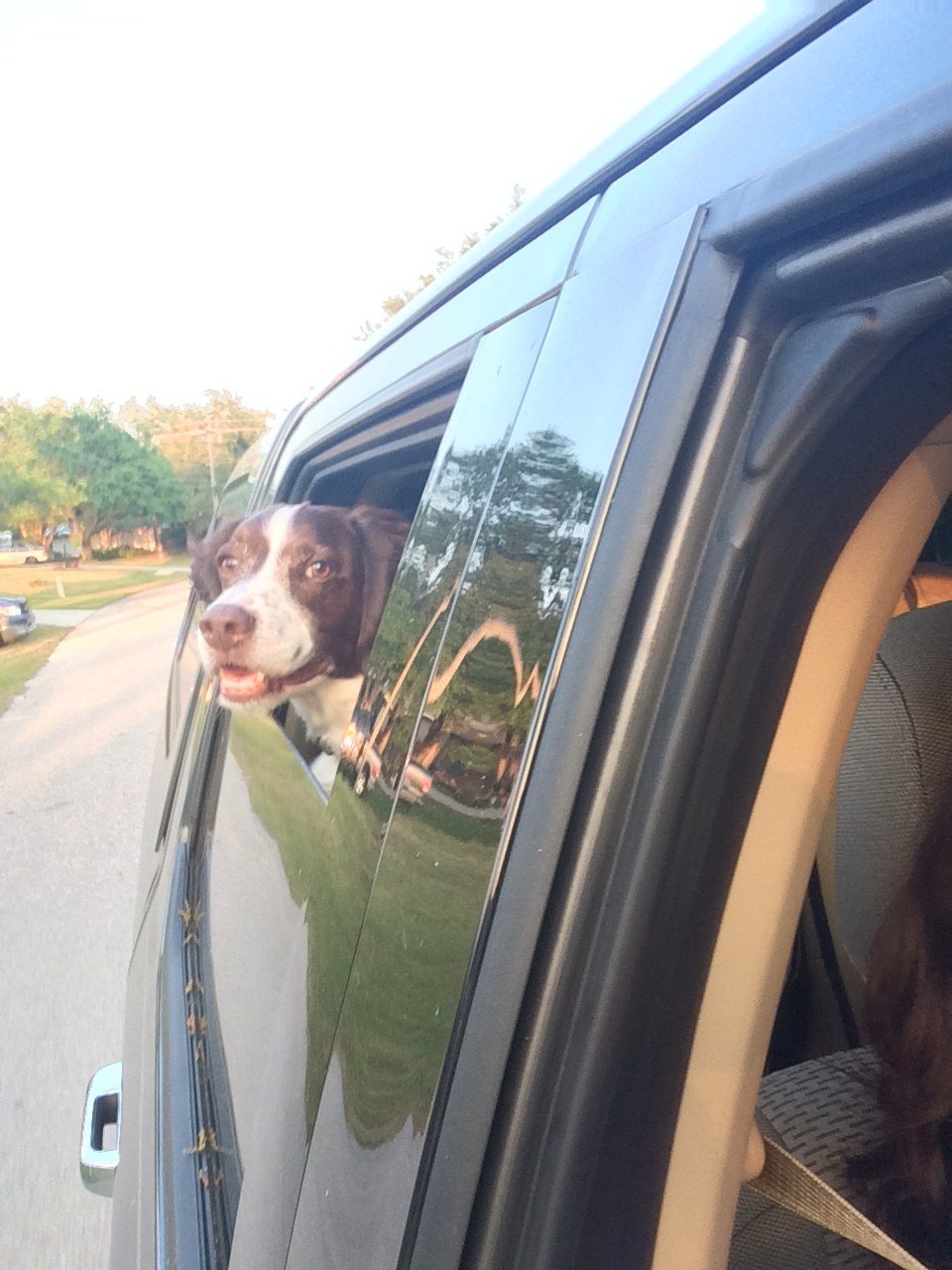 Jake, Living Free!