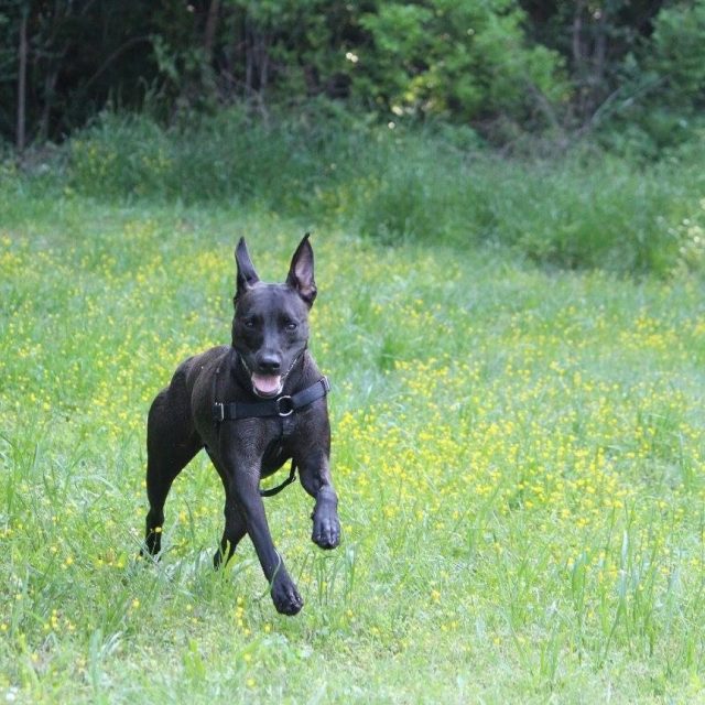 An entrant's photo