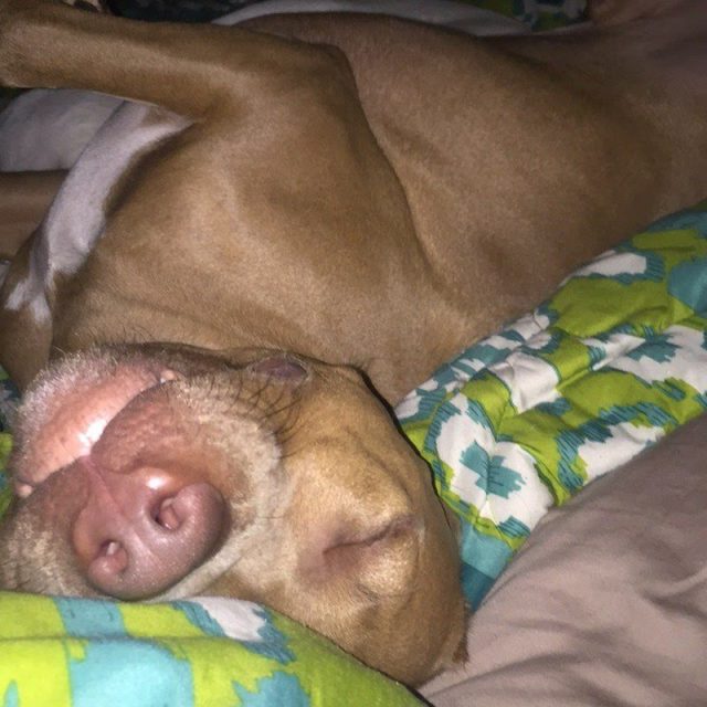 Goooooodnightt