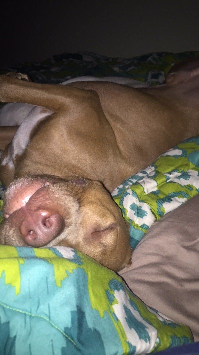 Goooooodnightt