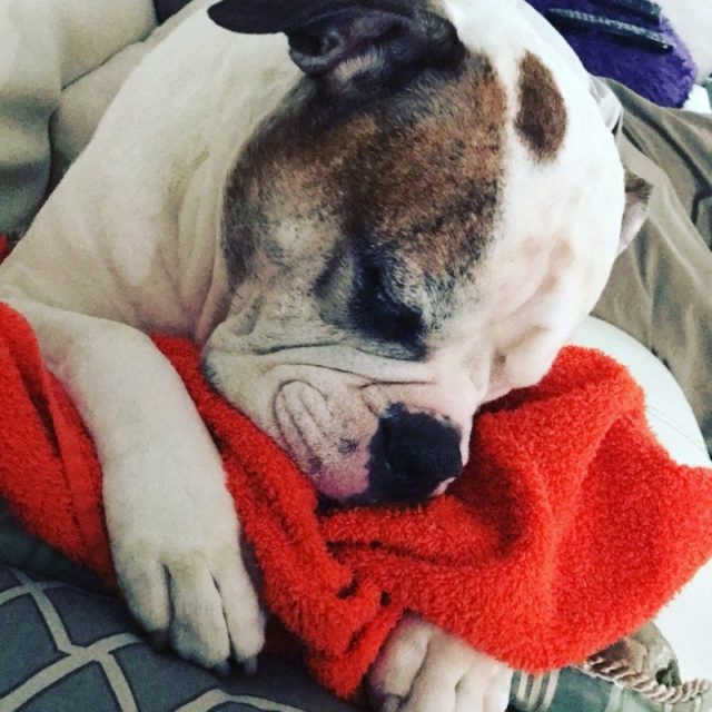 Bubba Cuddling