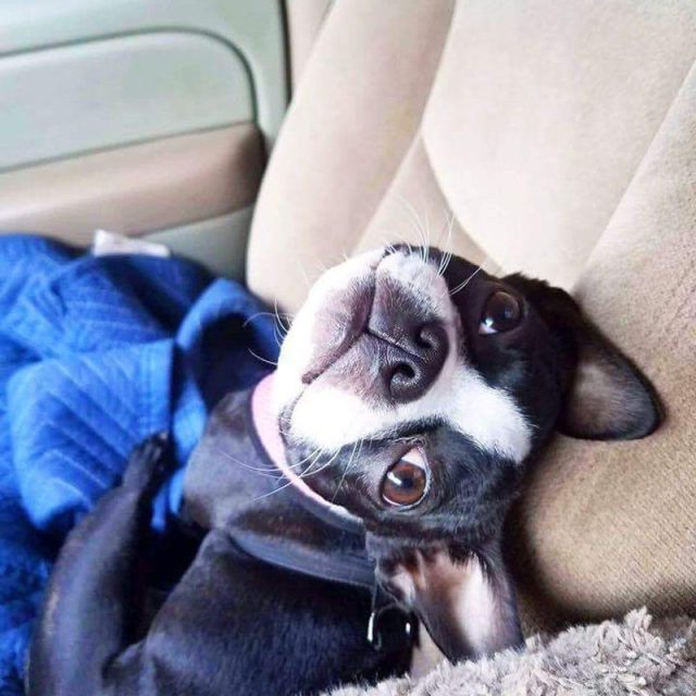 This Is Lucy!