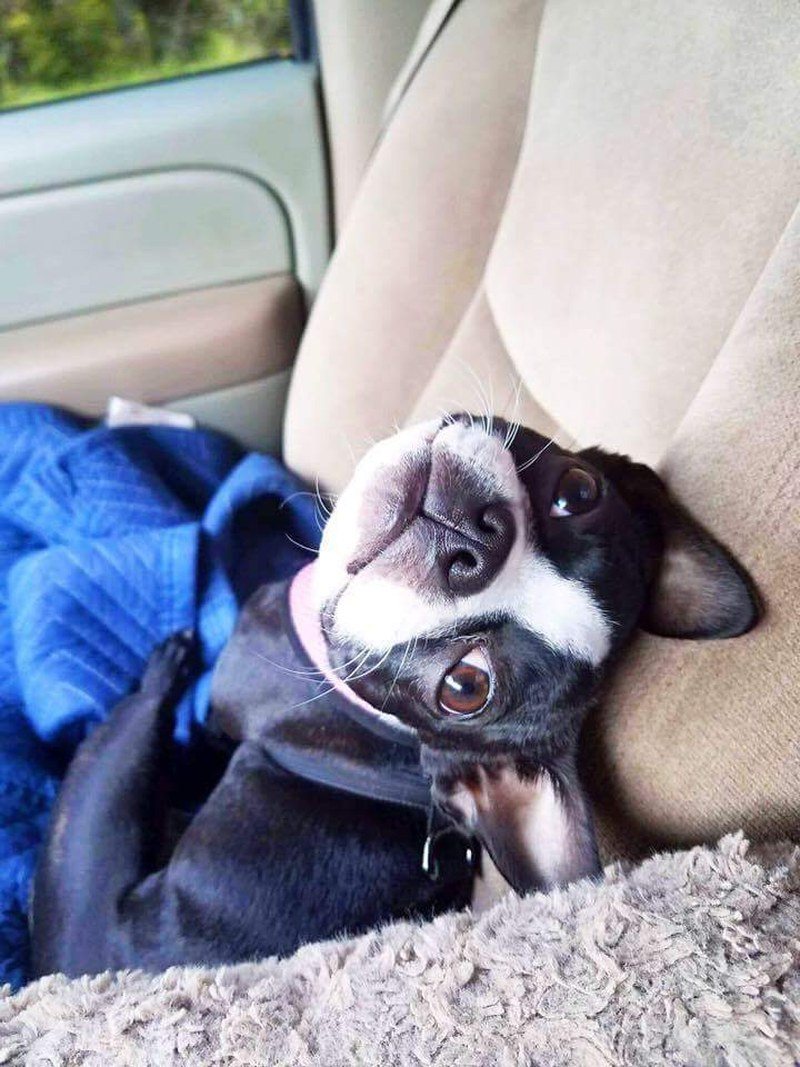 This Is Lucy!