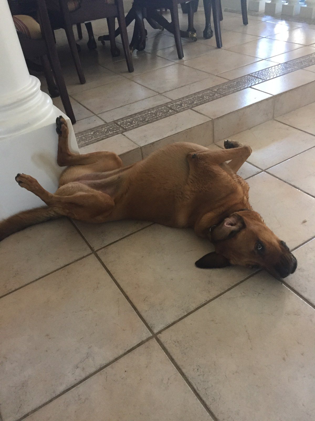 Afternoon Nap