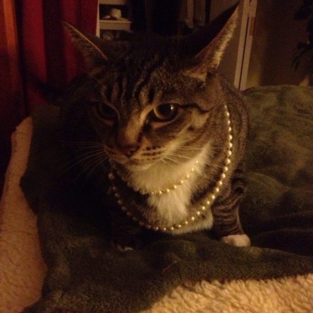 Princess Fiona In Pearls
