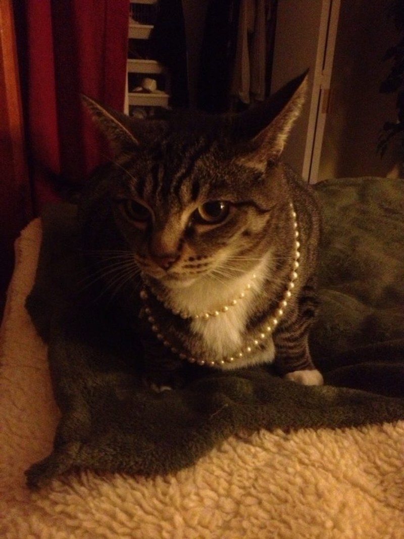 Princess Fiona In Pearls