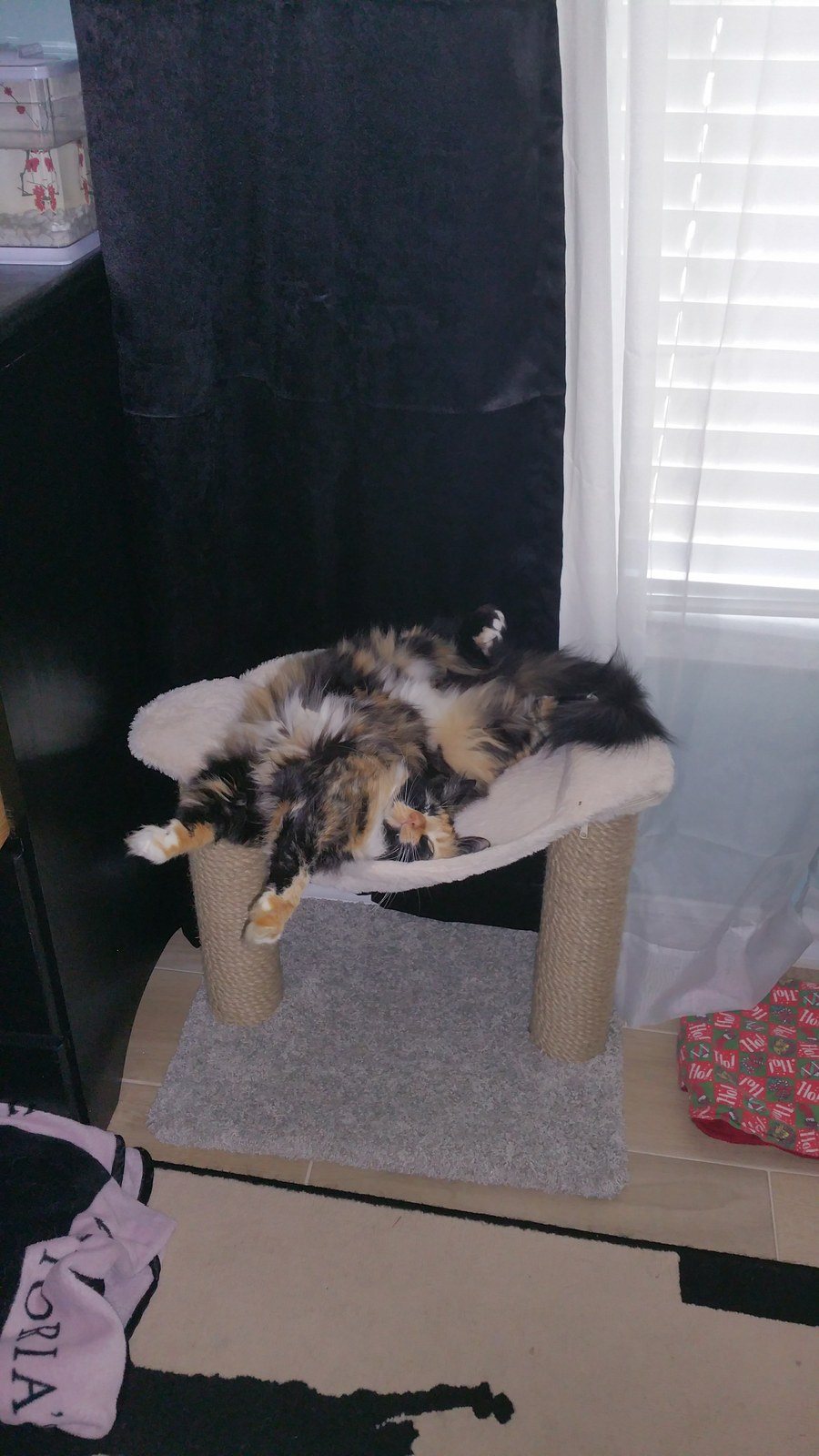 Now I'm Comfy!