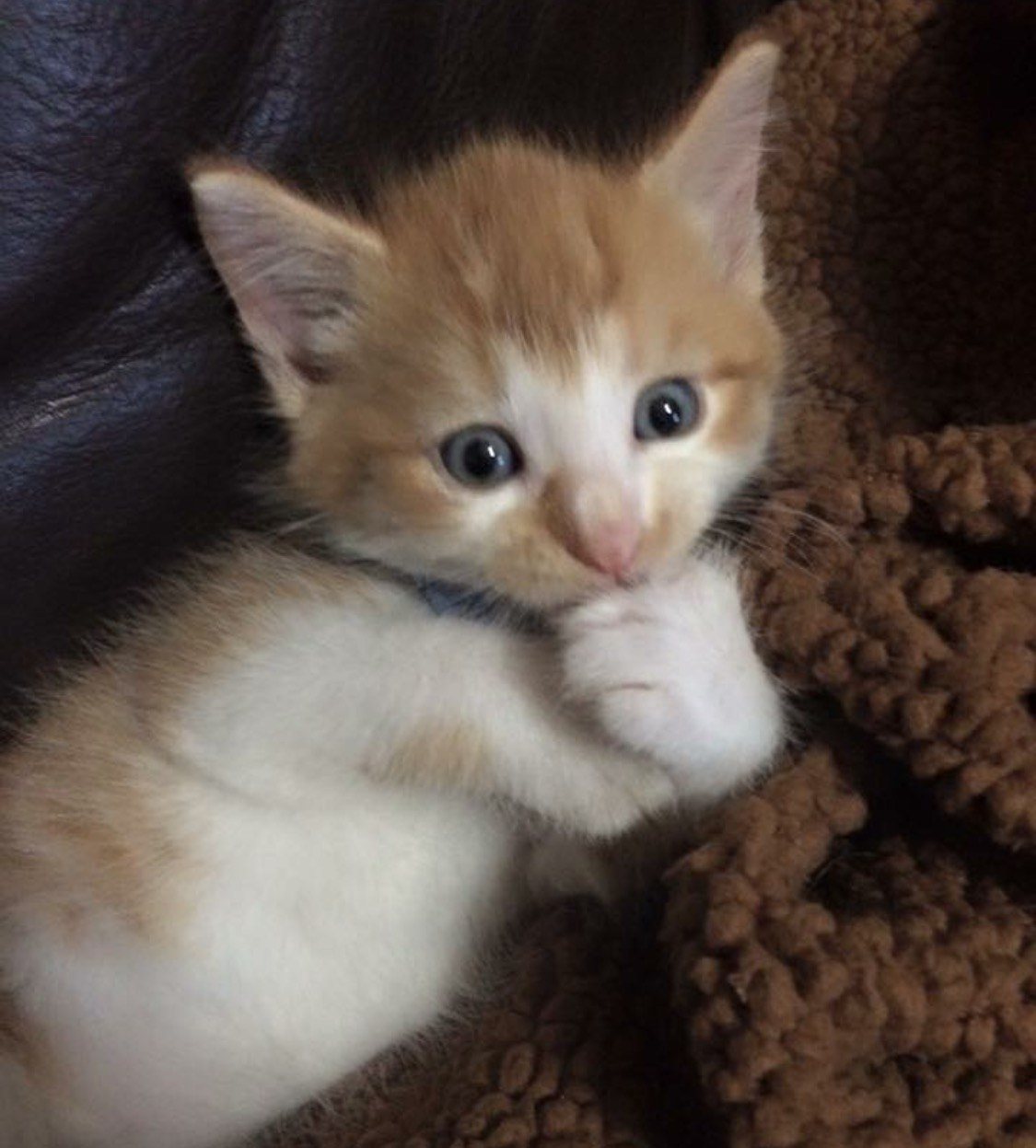 Do You Think I'm Cute?
