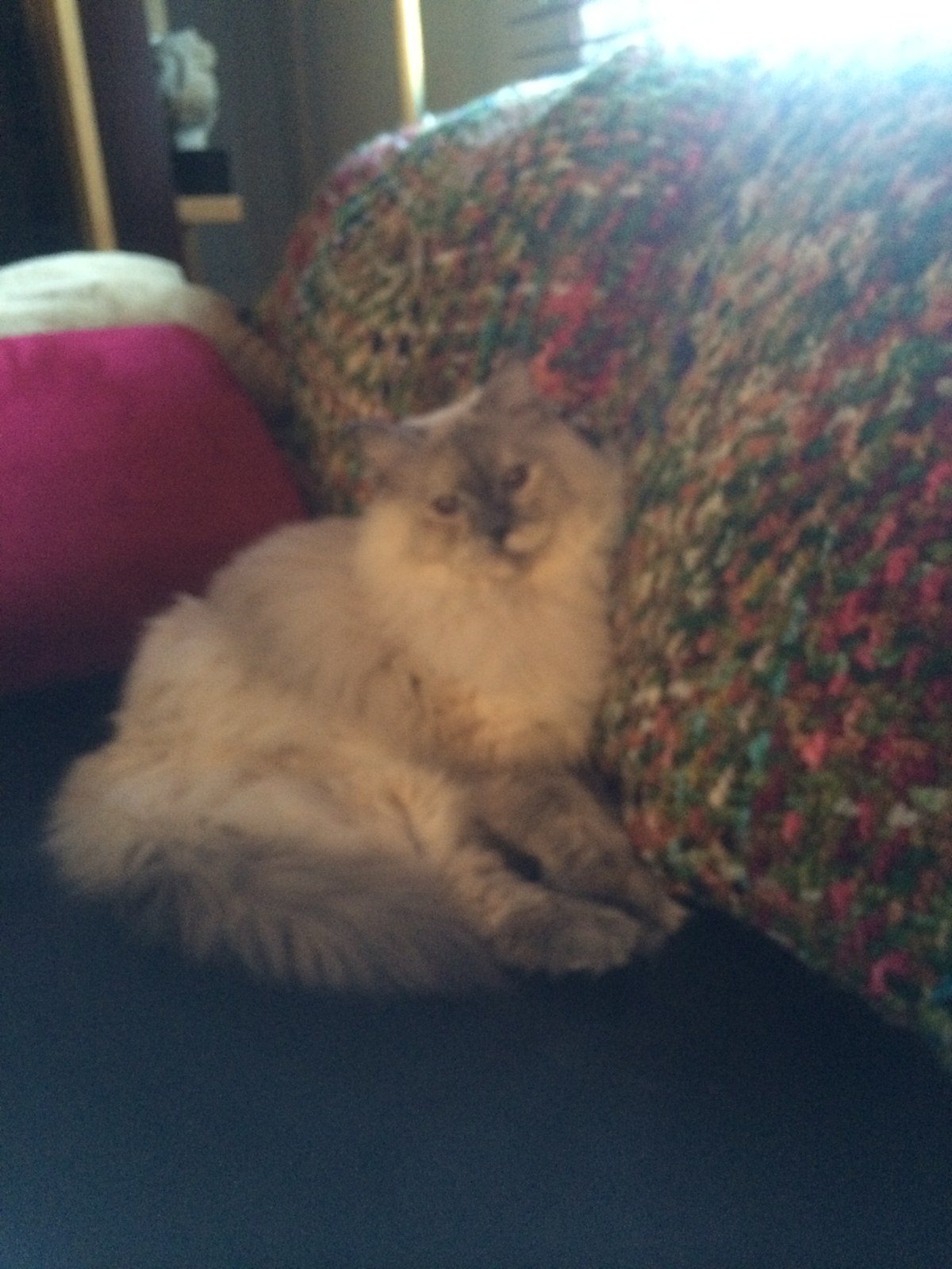 Chillin