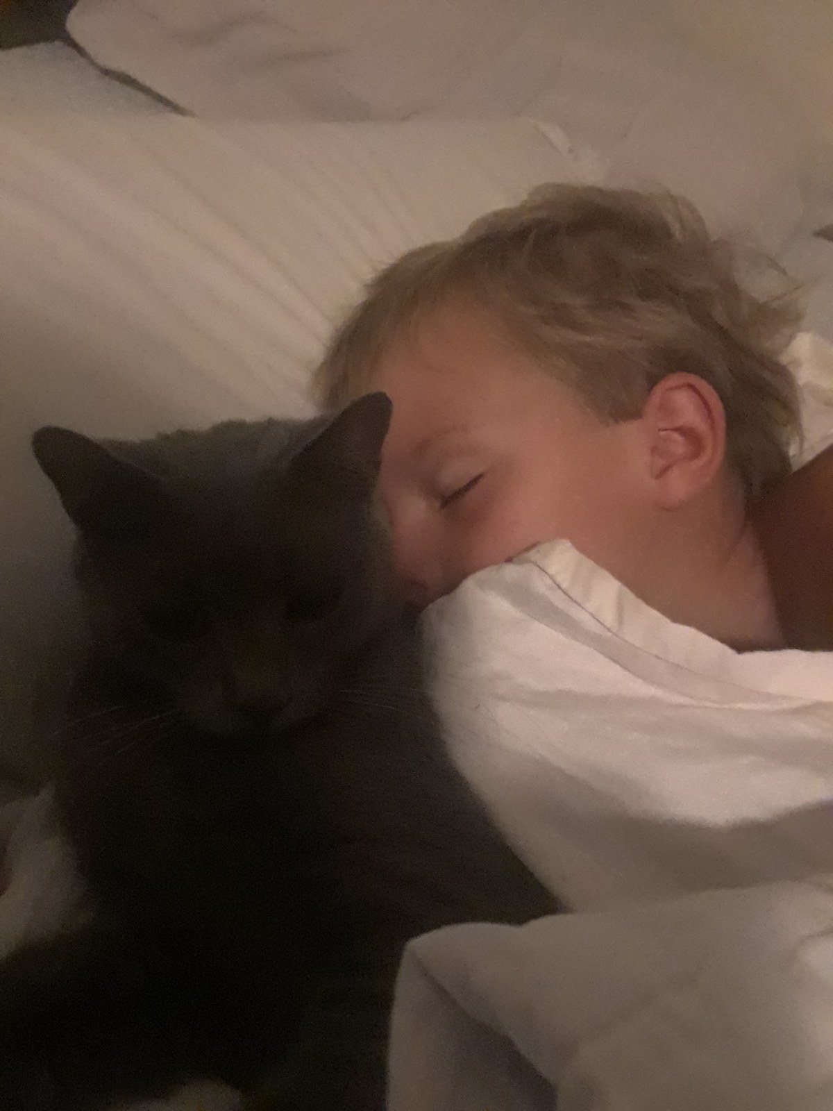 Sleepy Kids