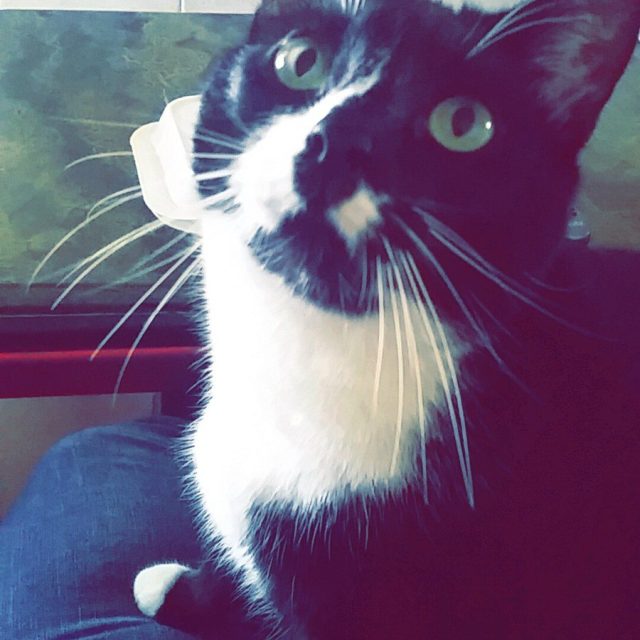 Mom Feed Me