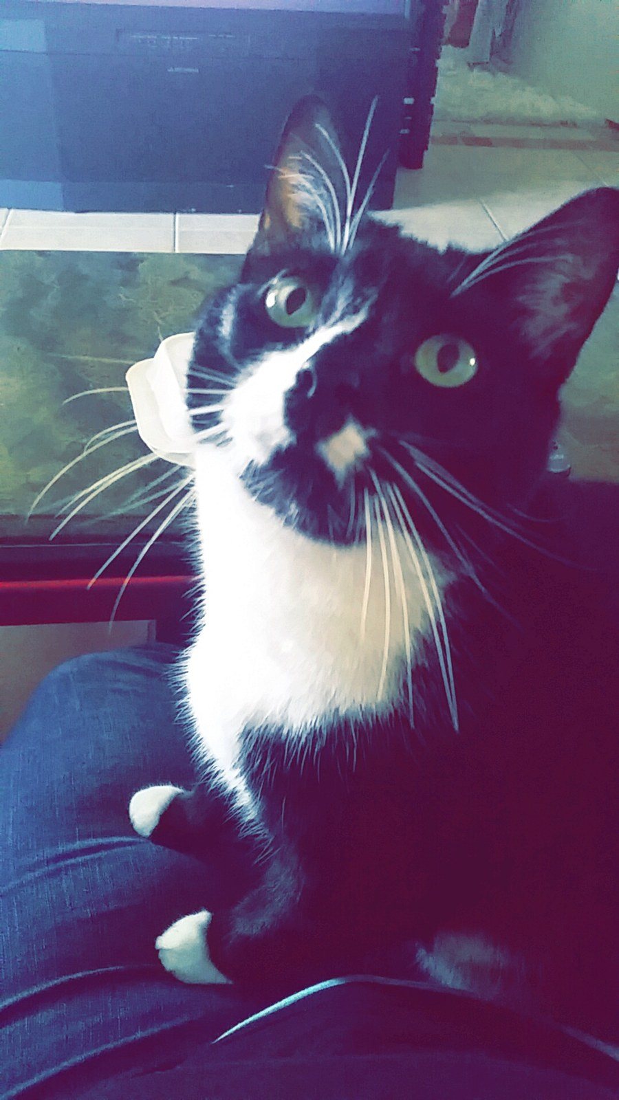 Mom Feed Me