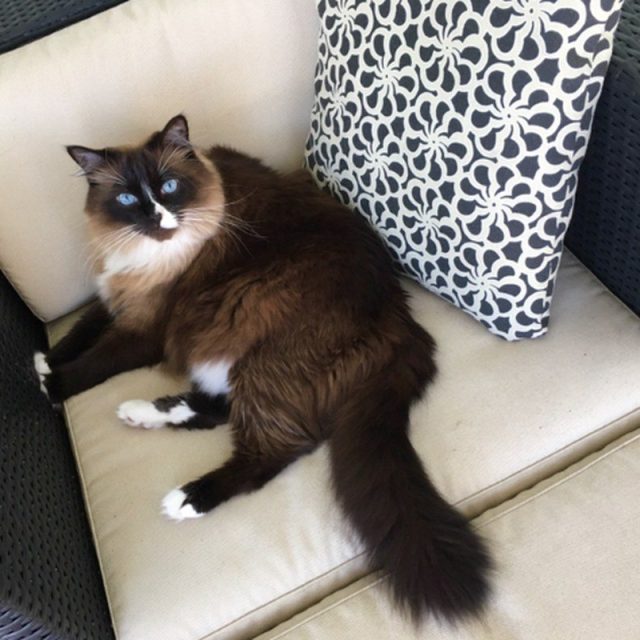 Oh So Handsome