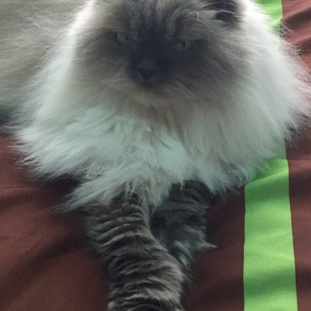 Rui Relaxing