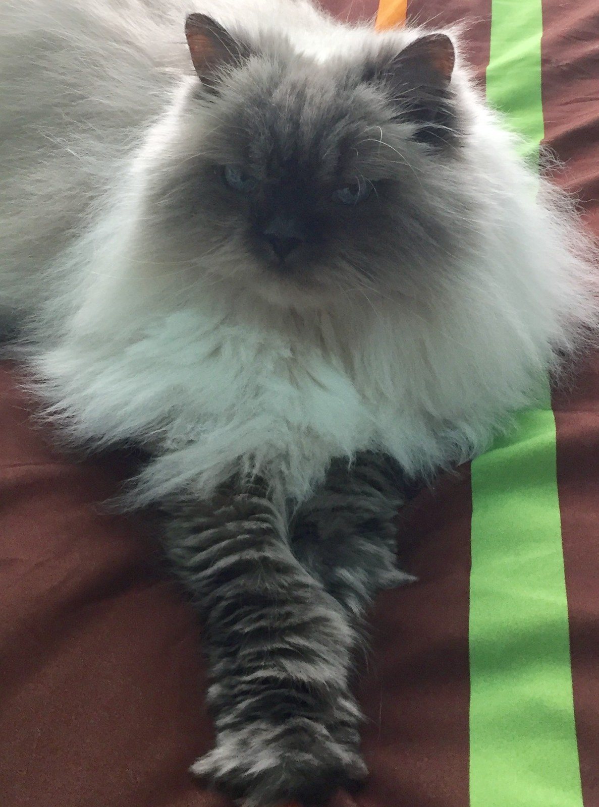 Rui Relaxing