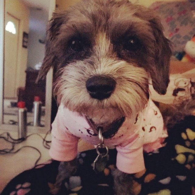 Penny In Her PJs!
