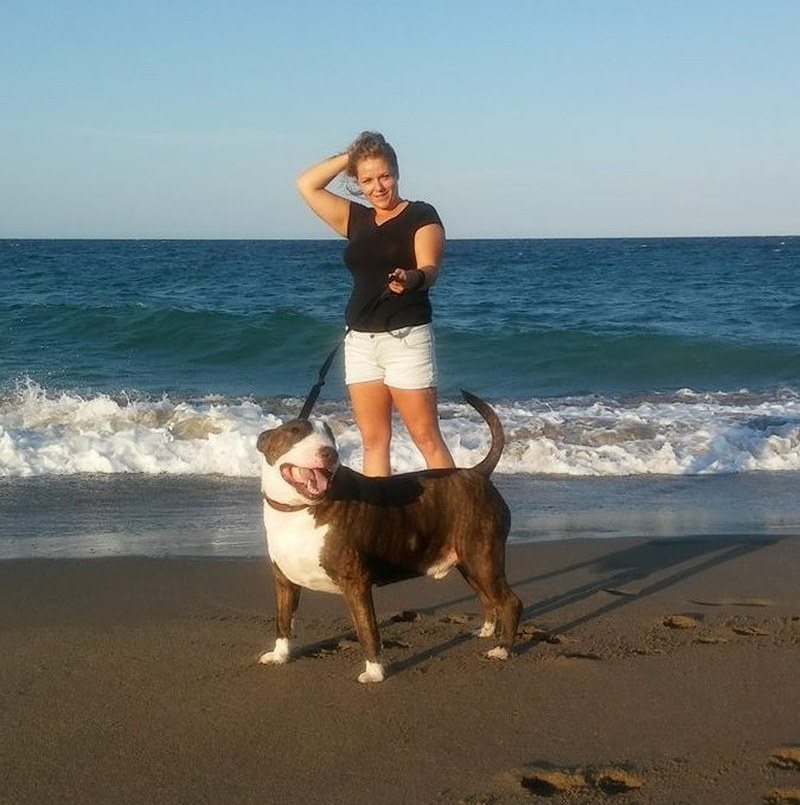 From The Shelter To The Beach!! Rescued!!