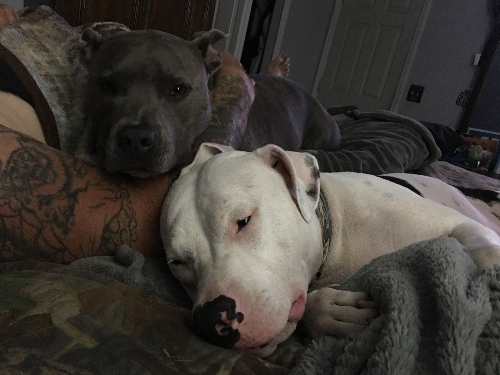 Buddies For Life