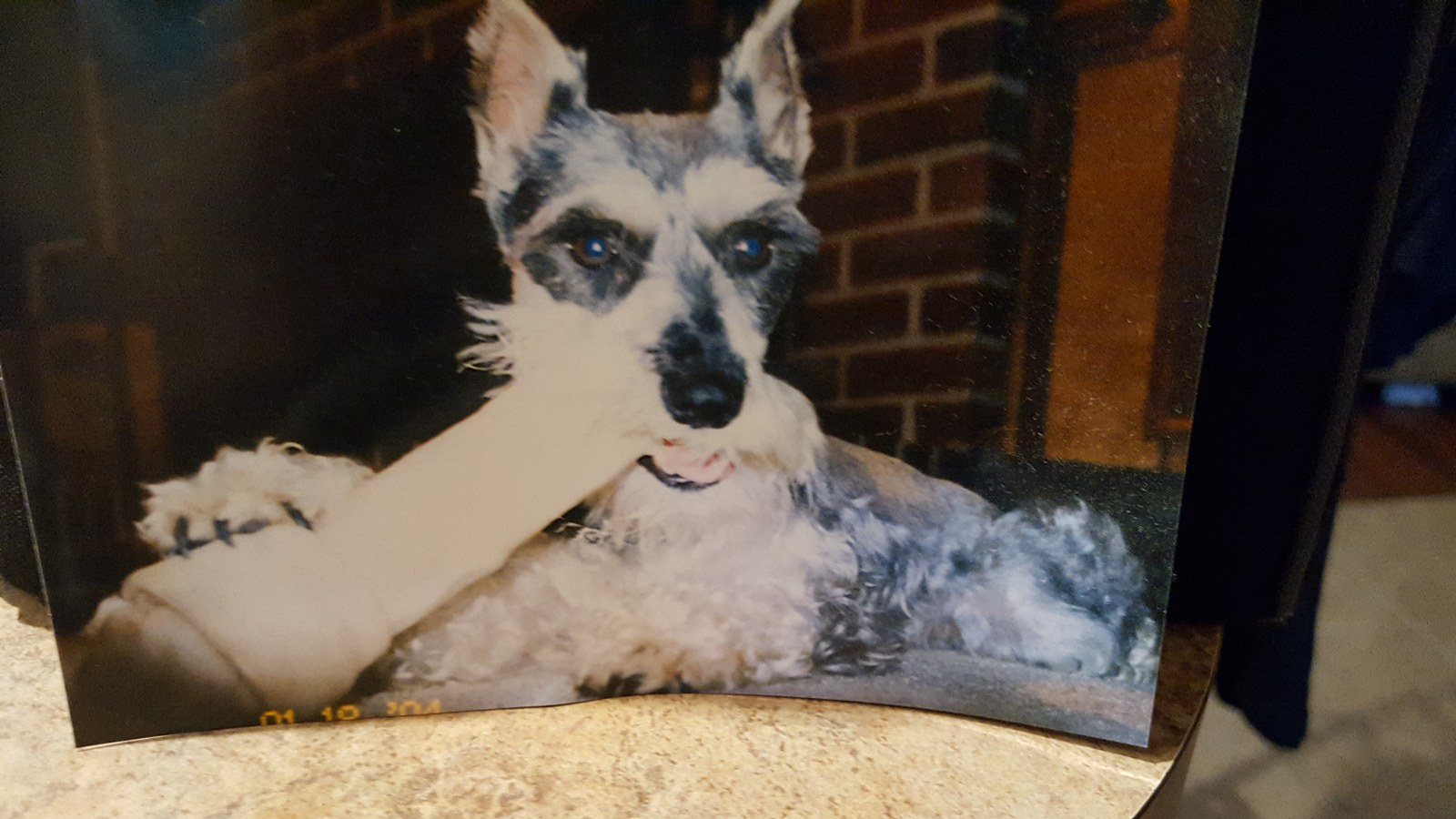 Rosie, RIP My Love