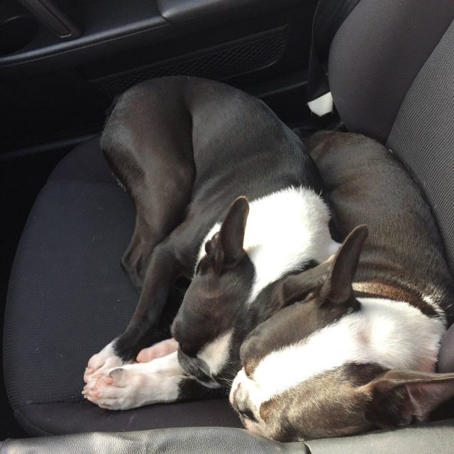 Brotherly Love