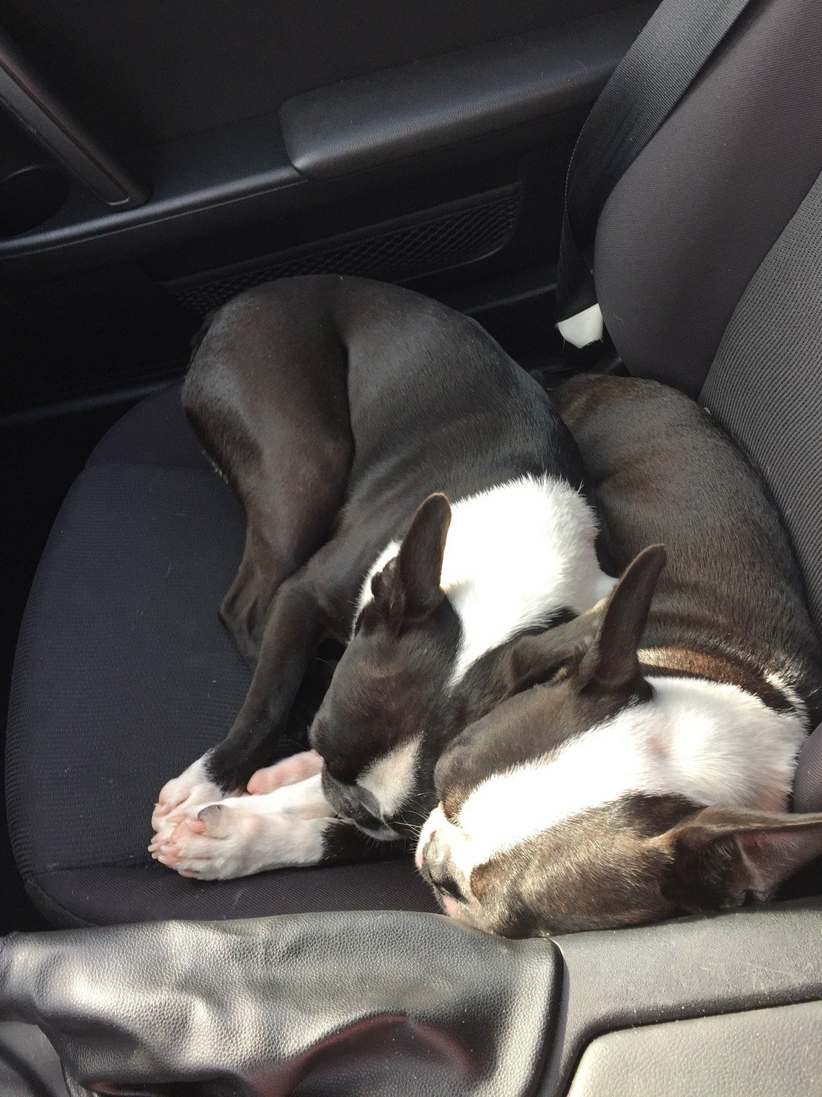 Brotherly Love