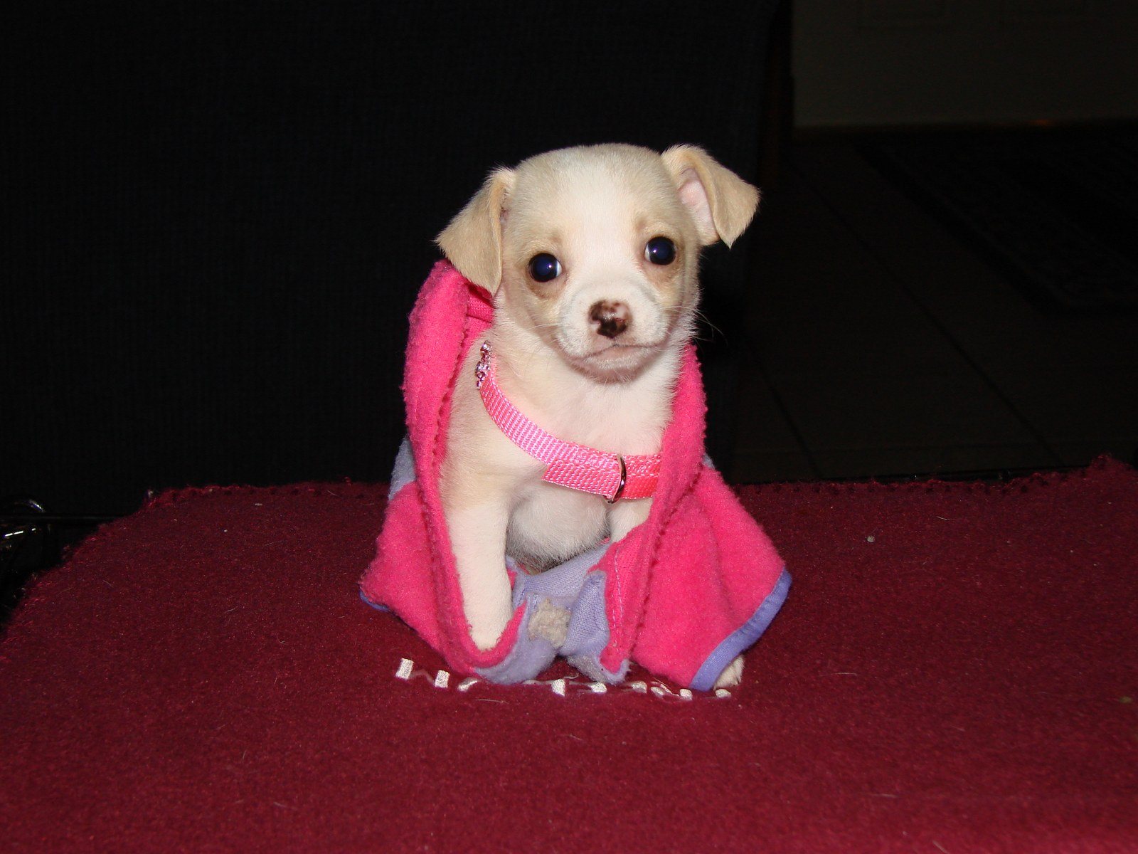 Pinky