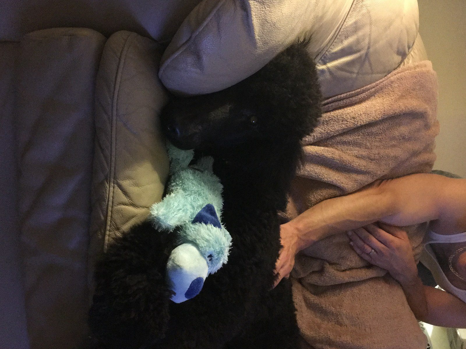 Cuddling Buddies...