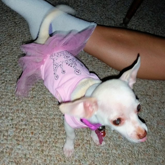Princess Ivy