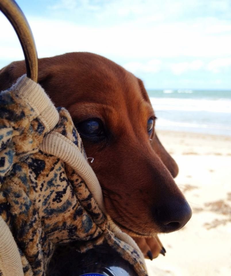 A Day At The Beach