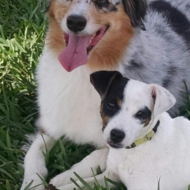 Friends!