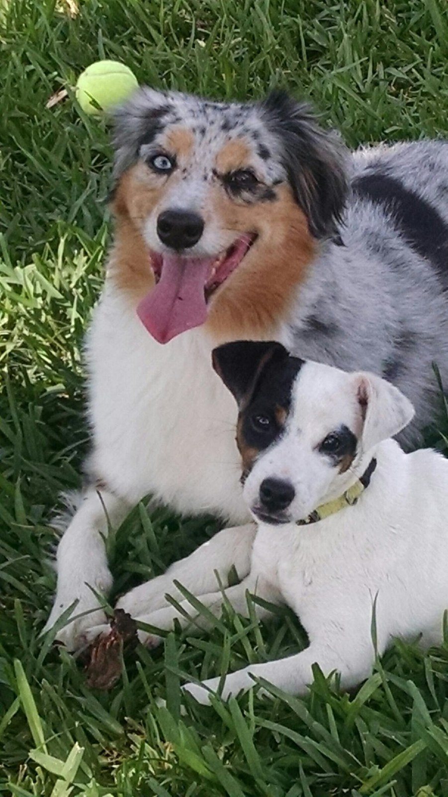 Friends!