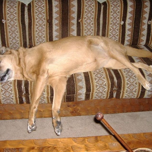 Sacked Out