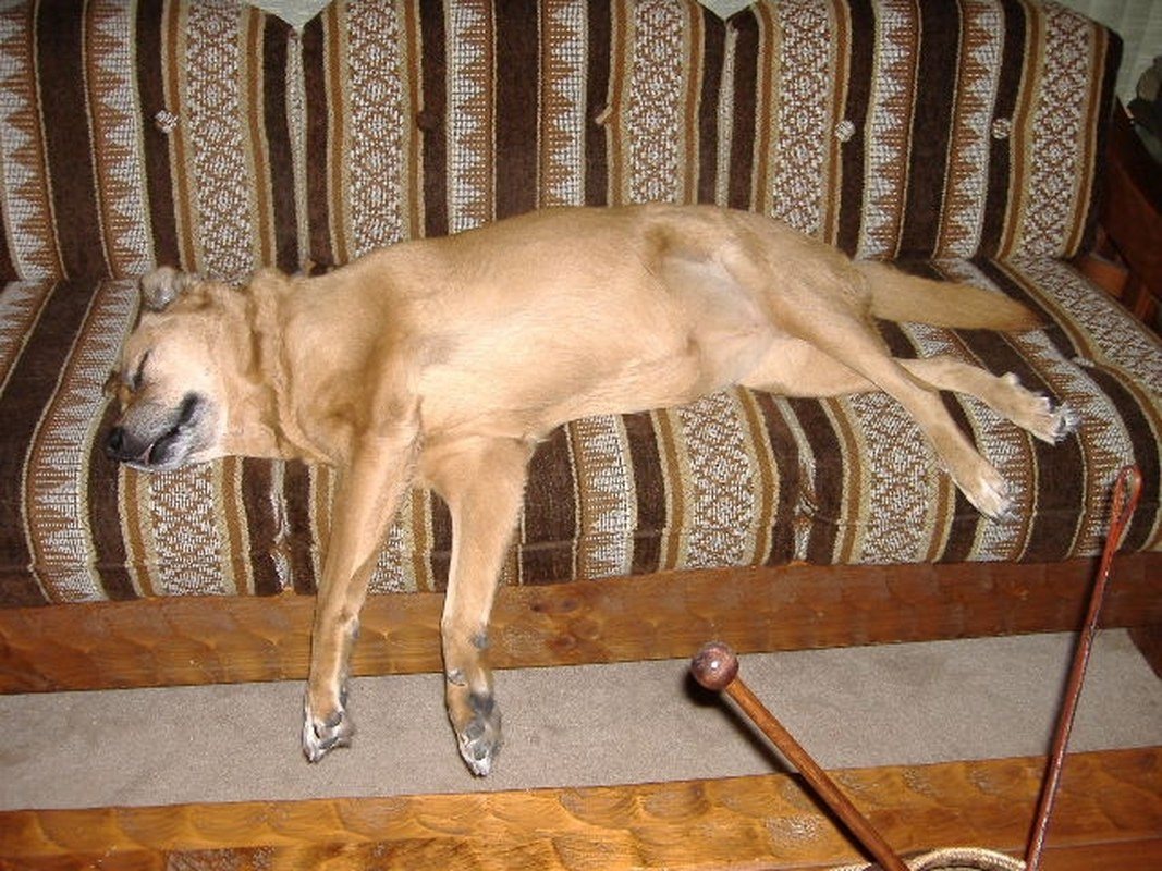 Sacked Out