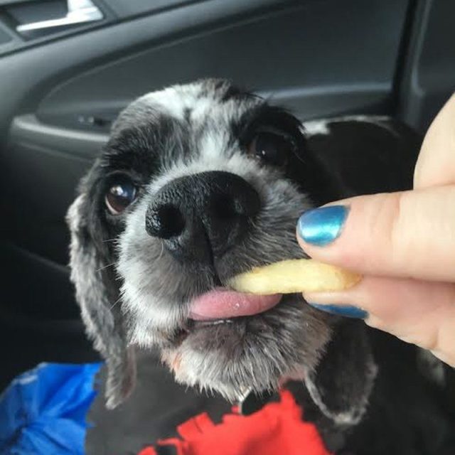 Lunch Break