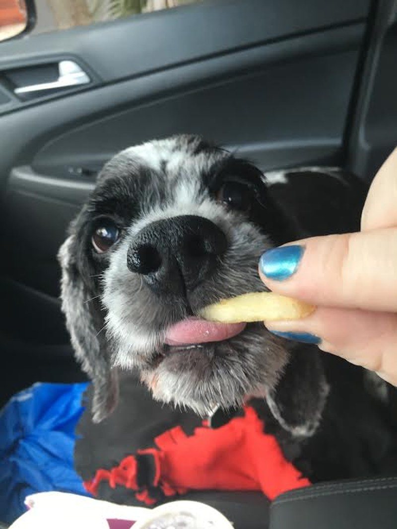 Lunch Break