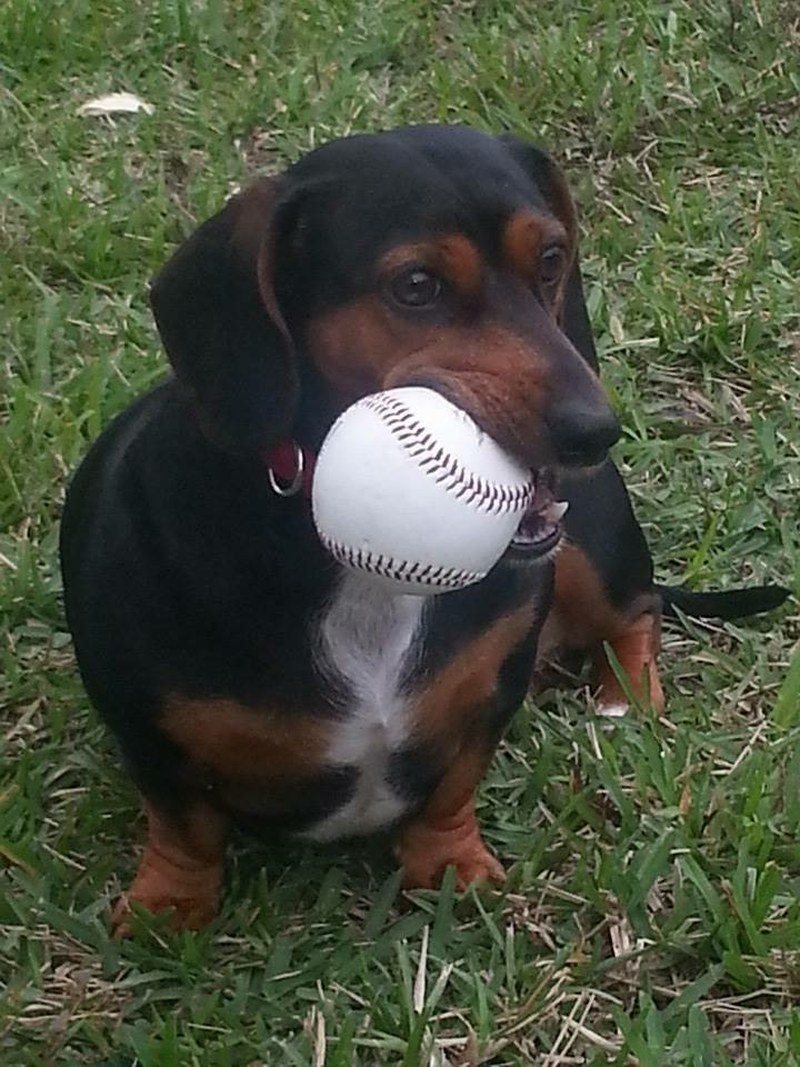 Jeter The Wiener