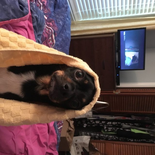 Bath Time