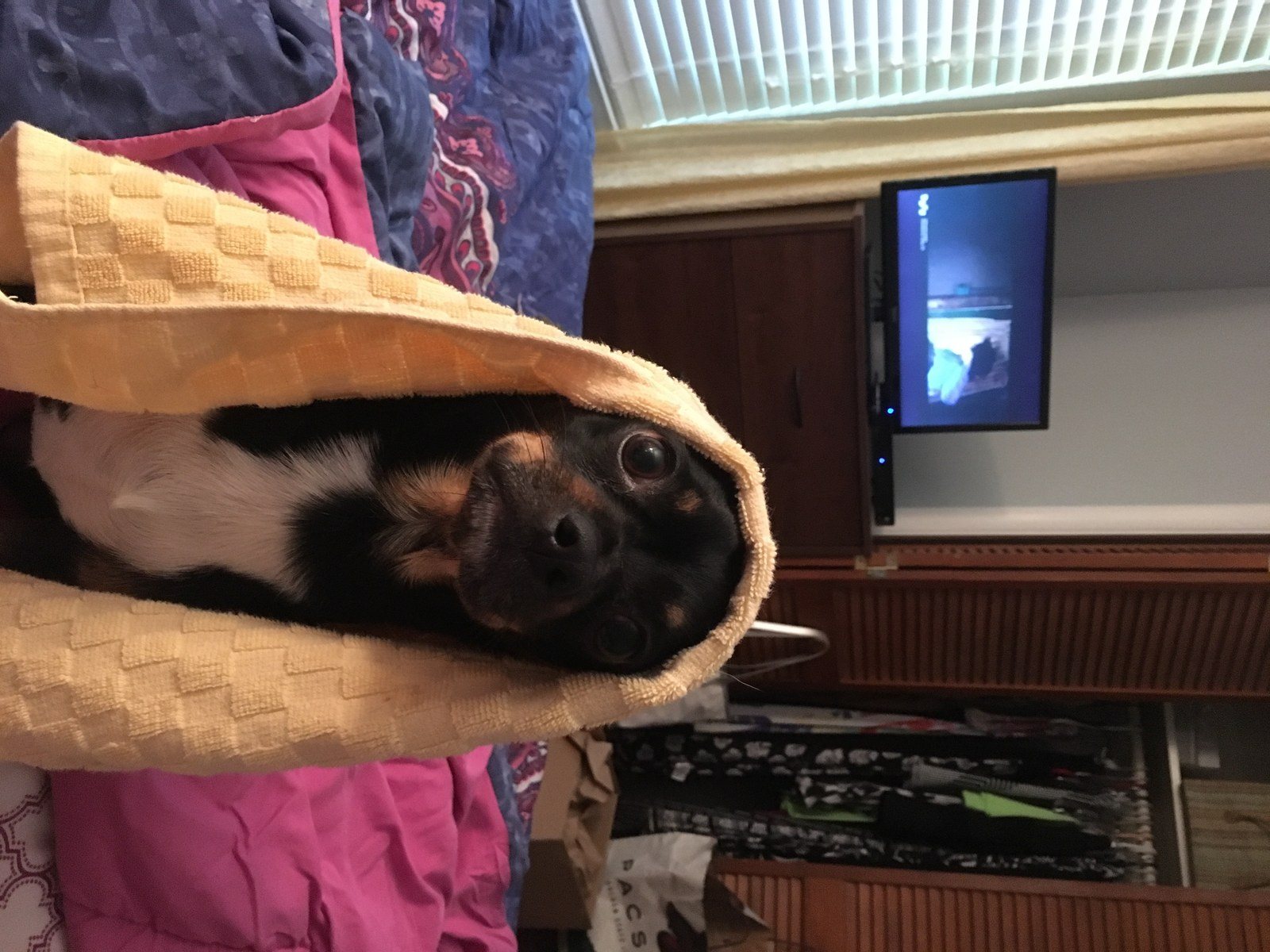 Bath Time